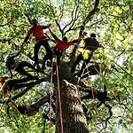 Domaine Le Vaxergues * 圣艾菲力克