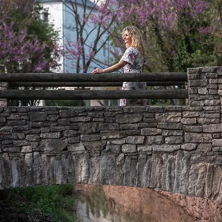 Domaine Le Vaxergues