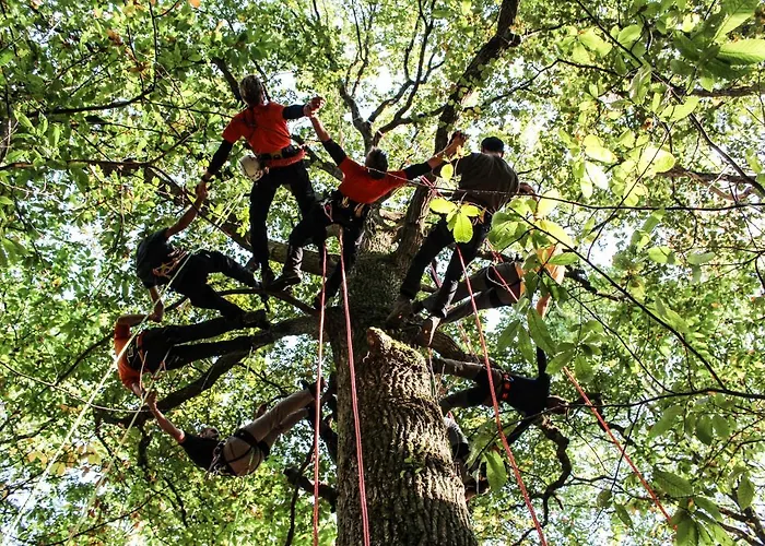 Domaine Le Vaxergues * 圣艾菲力克